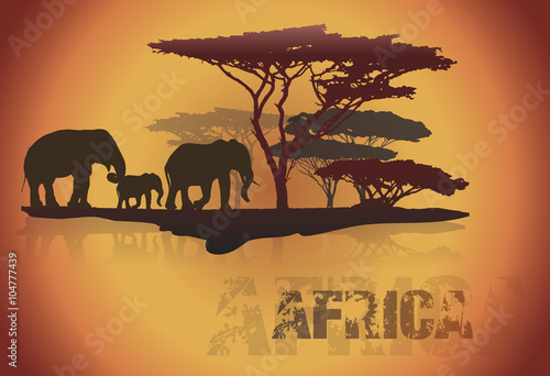 Silhouette of Africa trees and elephants