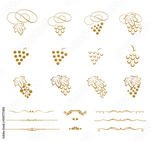 Set of grapes illustration