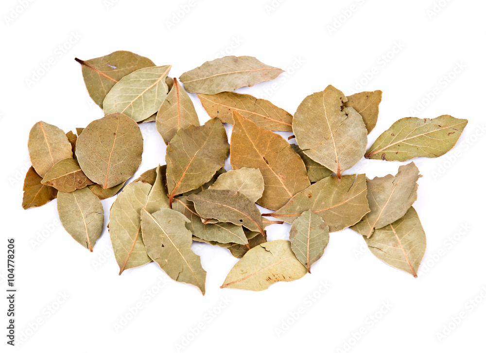 Bay leaves separated on white background