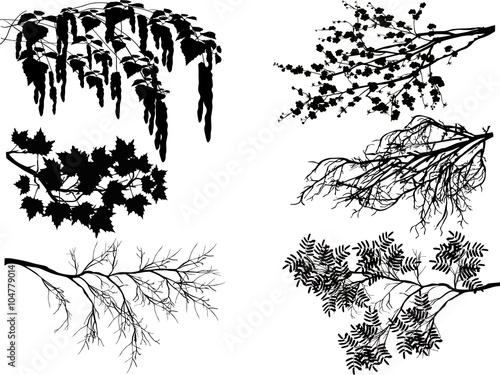 six spring tree branches on white