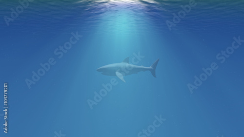 The Great White Shark in the Ocean Side View