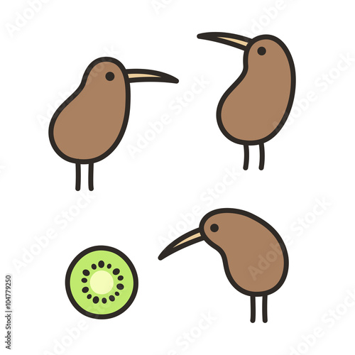 doodle kiwi birds set
