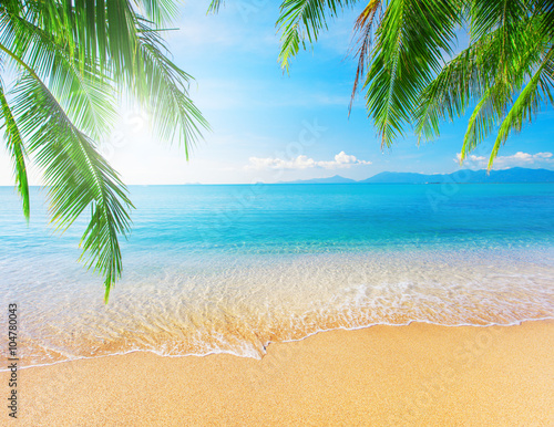 Palm and tropical beach © Alexander Ozerov
