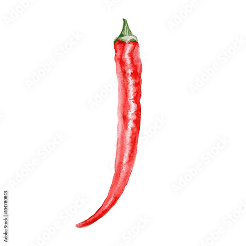 Fresh watercolor red chili pepper illustration. Food elements. Hand drawn vector.