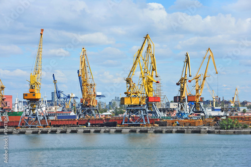 Port cargo crane