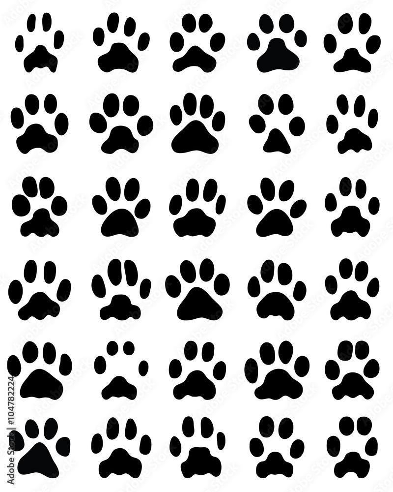 Black print of cats paws on white background, vector Black print of cats paws on white background, vector