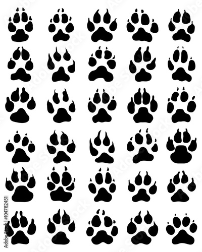 Black print of dogs paws on white background, vector