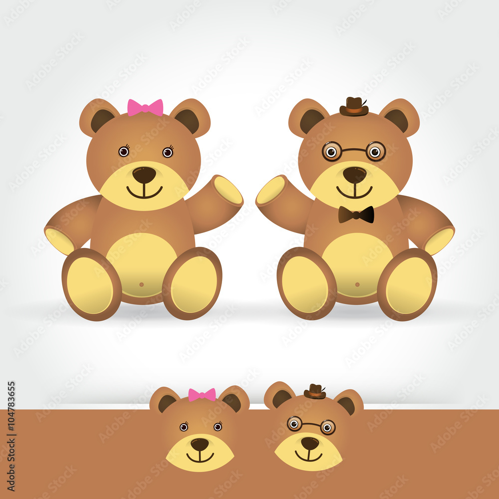 couple teddy bear on white background couple teddy bear on white background