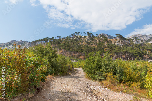 Crimea summer landscape with a mountain dirt road on the slopes of the foothills of the mountain range Ai-Petri