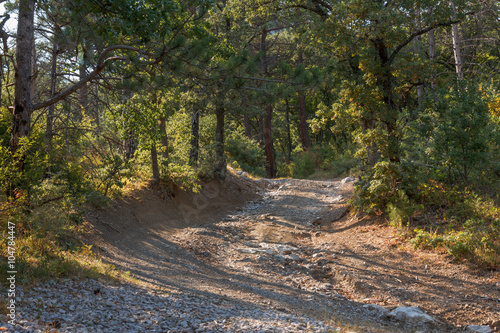 Crimean summer mountain landscape with a mountain dirt road in the woods