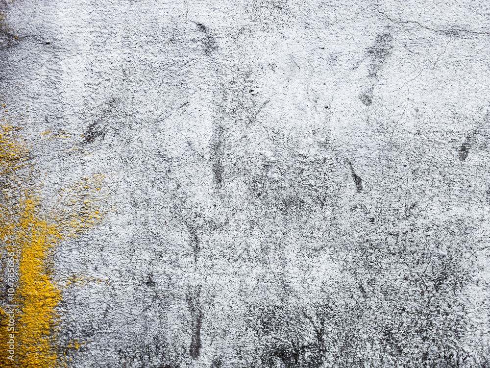 Fototapeta premium Whitewashed wall with rich and various texture