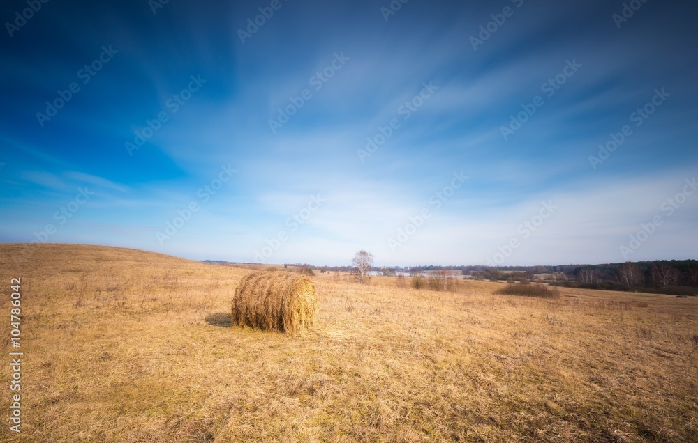 Early spring meadow landscape in Poland.