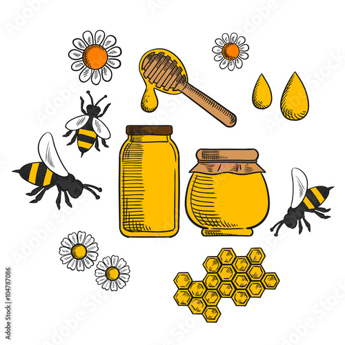 Beekeeping and farm honey icons