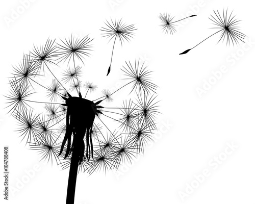 silhouette with flying dandelion buds on a white background