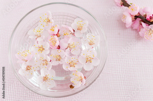 Cherry blossom flowers in a bowl