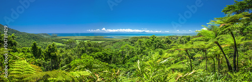 Fotografie, Obraz Stunning panoramic view of the daintree rain forrest and ocean.