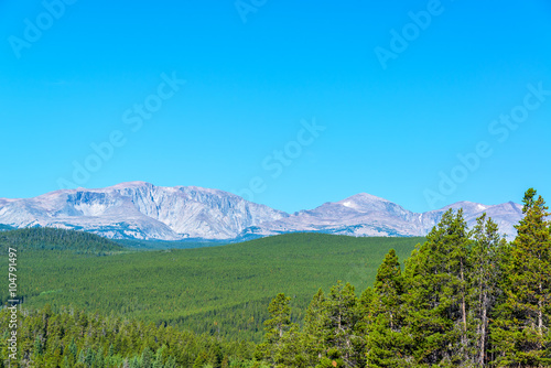 Dense Forest and Mountain Range