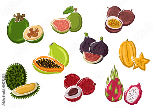 Fototapeta Naklejka Na Ścianę i Meble -  Tropical fresh fruits in cartoon style