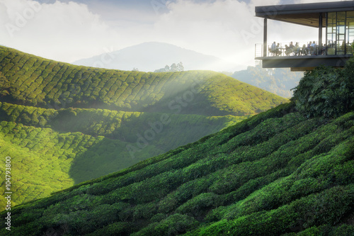 Fotografía Viewpoint on the top of cameron highland