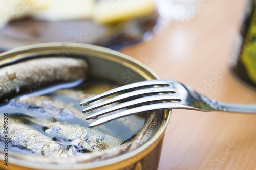 Fork and canned food