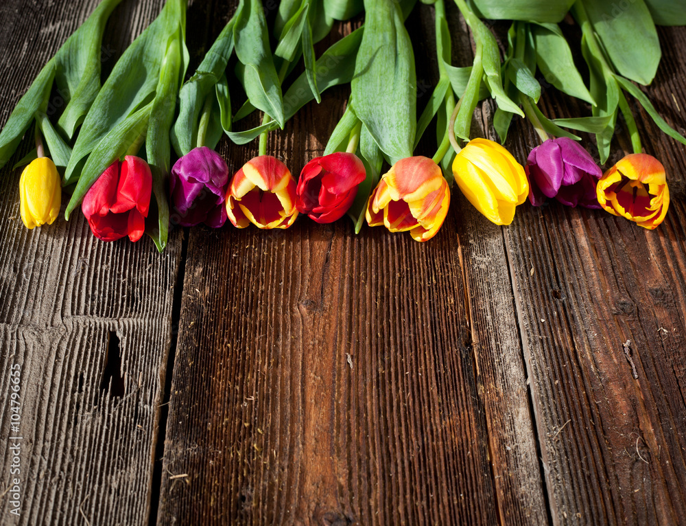 Easter eggs and fresh spring tulips on weathered wooden backgrou