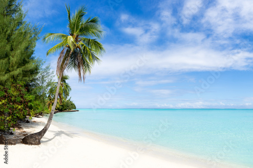 Palmenstrand und Meer in der Karibik