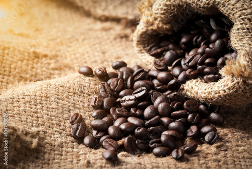 coffee beans on canvas