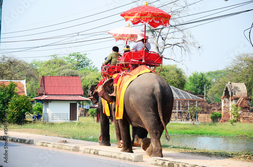 Traveler riding elephant for tour around Ayutthaya ancient city © tuayai