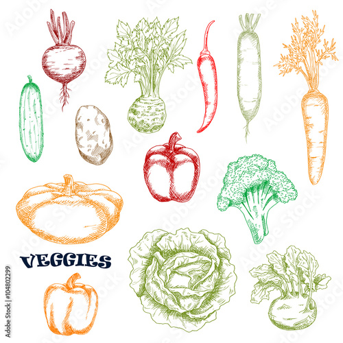 Vegetables sketches in retro style