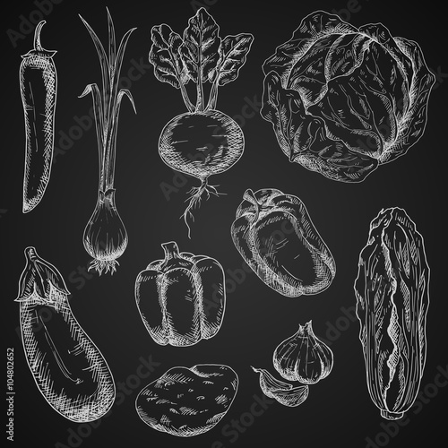 Fresh vegetables chalk sketches set