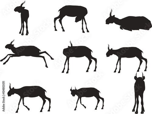Black Silhouettes of saiga antilopes set in various poses