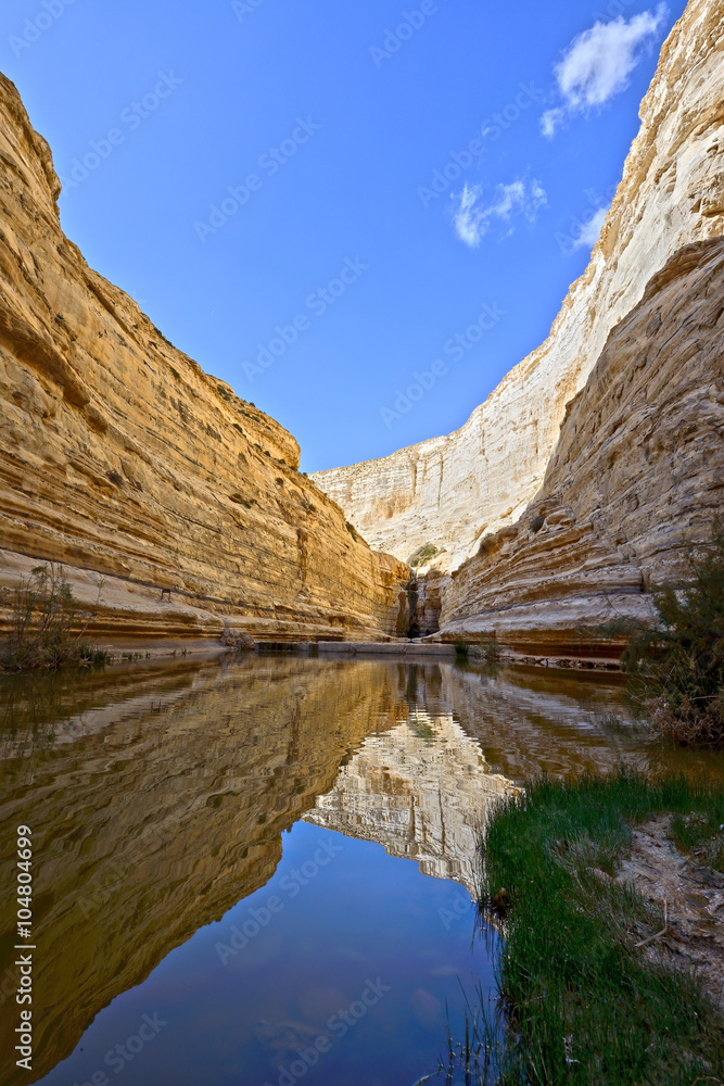 Unique canyon in the  Negev desert.