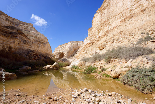 Unique canyon in the Negev desert.