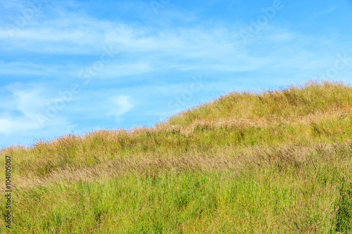 The colorful scenic nature of green field on top hill with beaut