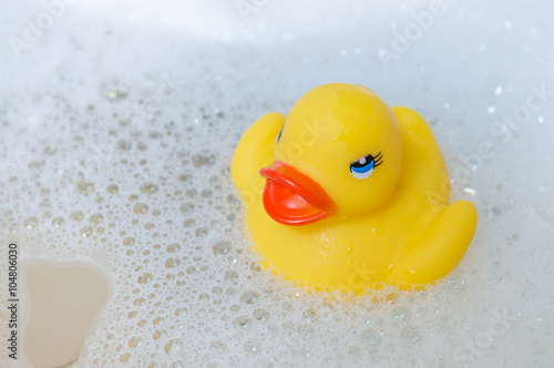 Bathing baby concept. Yellow duck floating in soapy water. Bath toy.