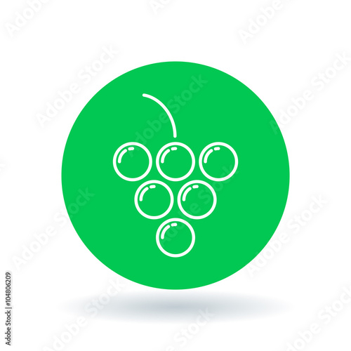 Grapes icon. Grape cluster sign. fruit symbol. White grapes icon on green circle background. Vector illustration.