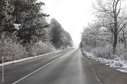 Winter road © Aleksandar Kosev