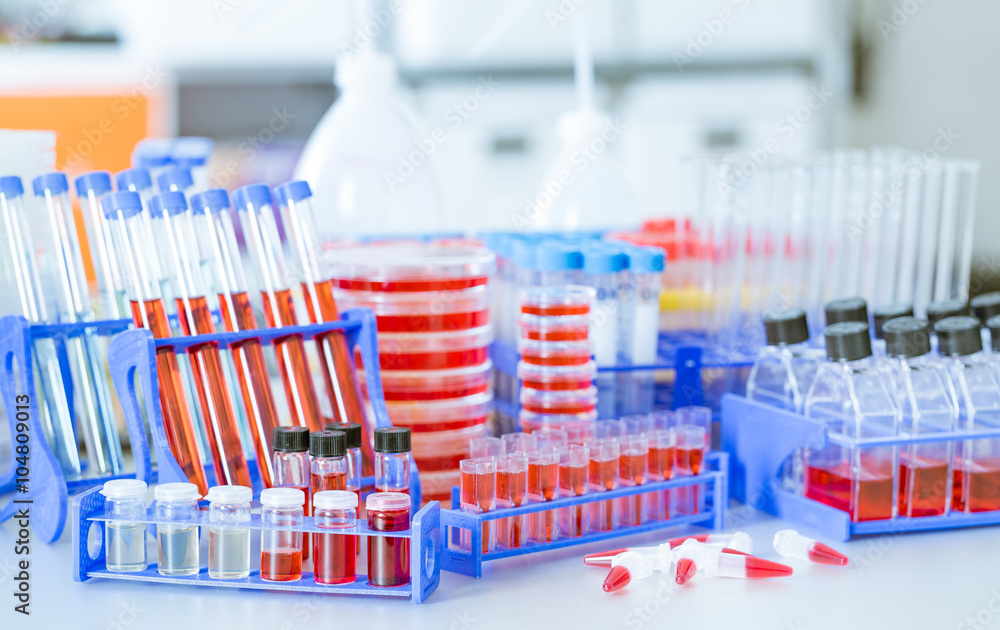 Test tubes and petri dishes in laboratory Test tubes and petri dishes in laboratory