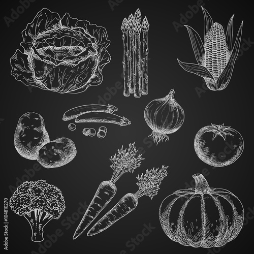 Chalk sketches of fresh vegetables