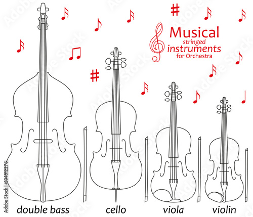 Set of line icons. Musical stringed instruments for orchestra. Info graphic elements. Simple design. Good for coloring books. Vector illustration