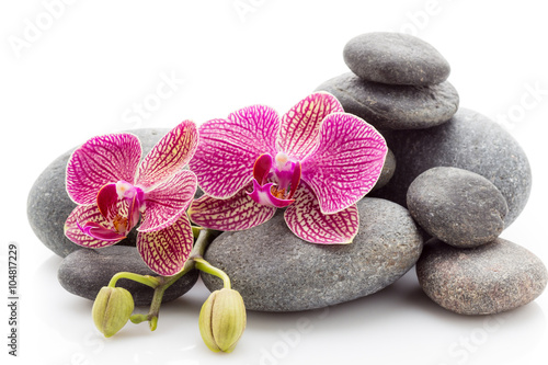 Spa stones