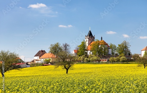 church and golden rapeseed field (brassica napus)