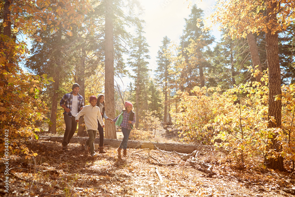 African American Family Walking Through Fall Woodland African American Family Walking Through Fall Woodland