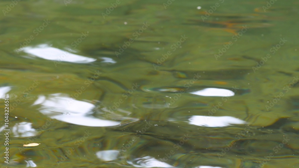 reflections on the water. The beautiful color of the water. Yellow leaves swaying in the water, the bottom of the river is covered with beautiful pebbles. 4K, 3840*2160, high bit rate, UHD reflections on the water. The beautiful color of the water. Yellow leaves swaying in the water, the bottom of the river is covered with beautiful pebbles. 4K, 3840*2160, high bit rate, UHD