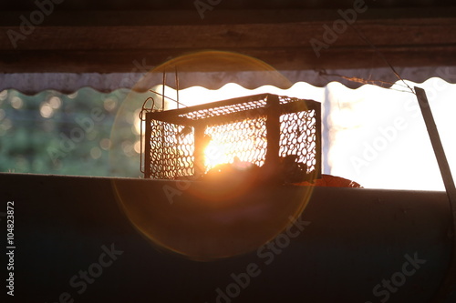 Cage mousetrap, rattrap on sunset time photo