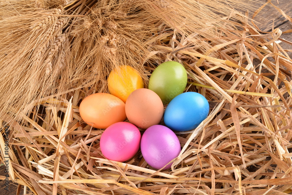 Fototapeta premium colorful easter eggs on straw