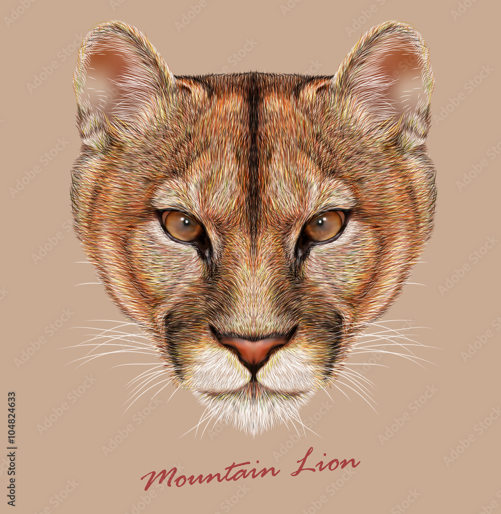 Mountain lion animal cute face. Vector American cougar head portrait. Realistic portrait of puma panther isolated on beige background. Vector | Adobe Stock