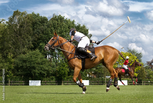 Horse in action at a polo game