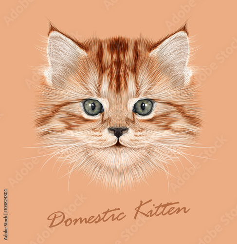 Kitten animal cute face. Vector funny cat head portrait. Realistic fur portrait of little red kitty isolated on beige background.