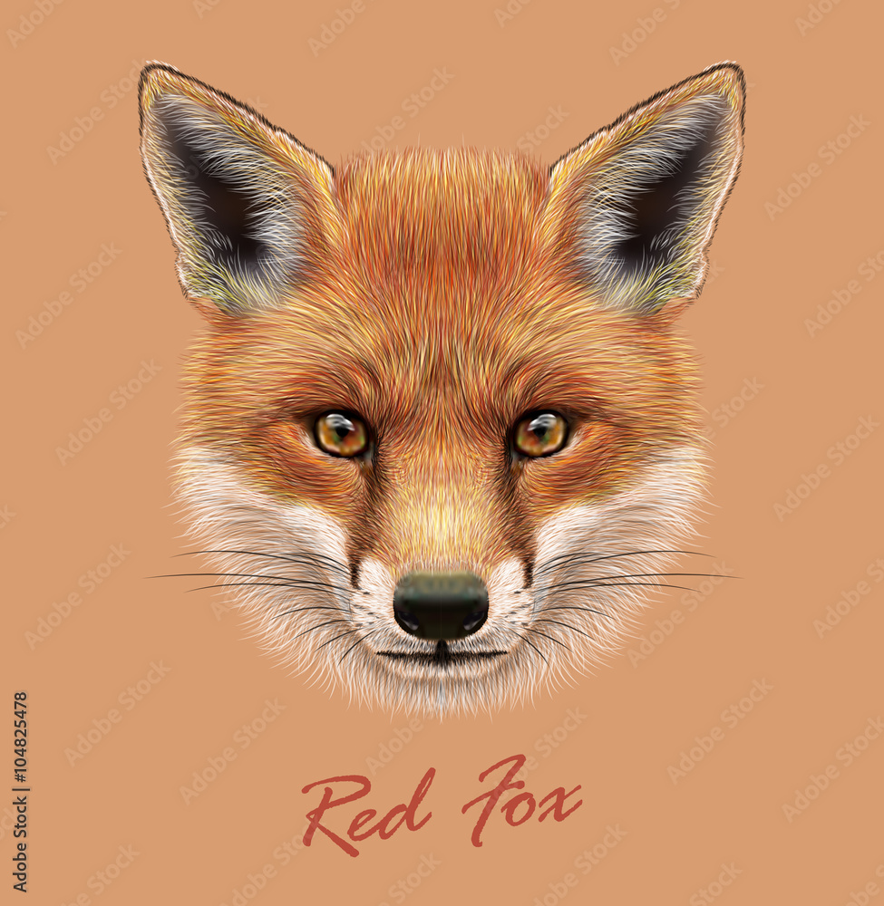 Fototapeta premium Fox animal face. Vector cute red head. Realistic winter fur red wild fox portrait on orange background.